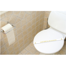 Sanitized WC Strips pk1000